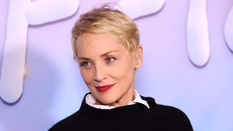 Sharon Stone Çöpçatan Uygulamasından Engellendi