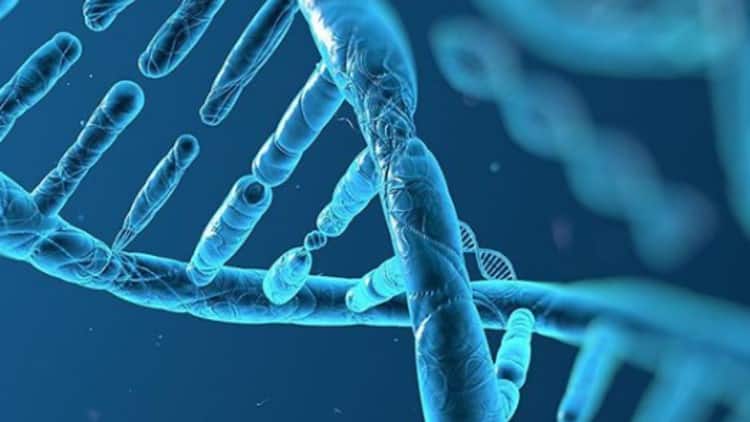 DNA Testi Ele Verdi Tekrar Tutuklandı!