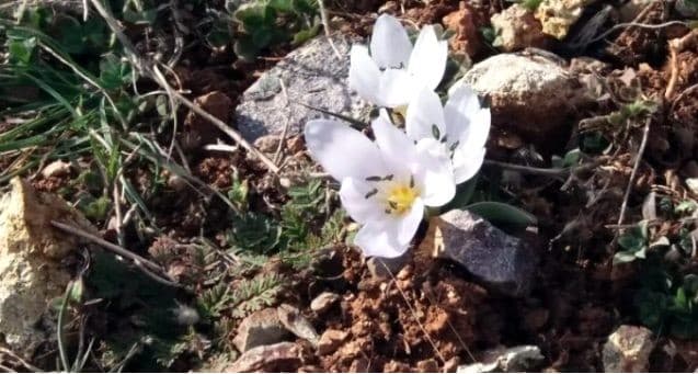 Türkiye'de Çekilen Kareler Korkunç Gerçeği Bir Kez Daha Gözler Önüne Çıkardı