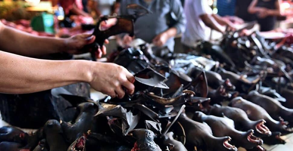 Çin Hala Aynı: Hayvan Pazarları Yeniden Açıldı!