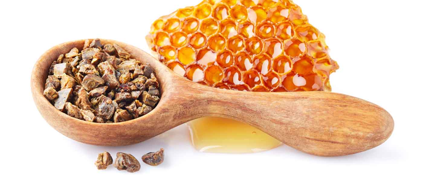 Propolis Ne Demek: Ne İşe Yarar?