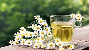 Stresten Arındıran Bitki Çayları