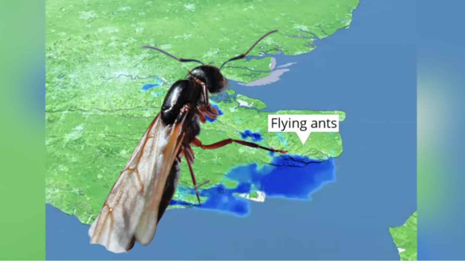 Britanya’da Meteorolojinin Radarına Yakalanan Ürpertici Detay!