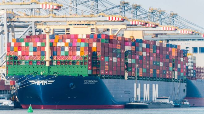 Hollanda Polisi Yaptığı Baskında 7 Gemi İşkence Konteyneri Tespit Etti!