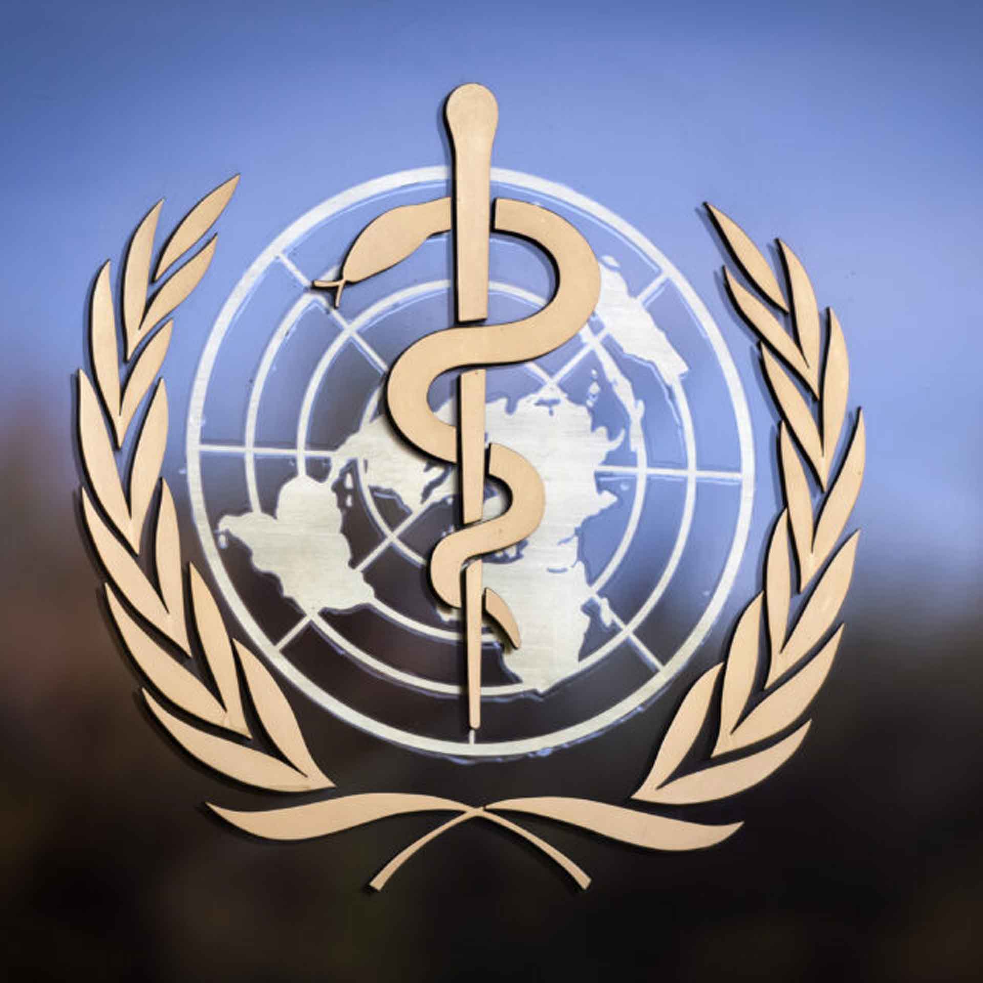 DSÖ 7 Ay Sonra Virüsün Kaynağının Araştırılması İçin Çin'e Ekip Gönderdi