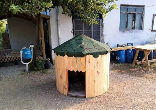 Kablo Makaraları Sokak Köpeklerinin Yuvası Oldu