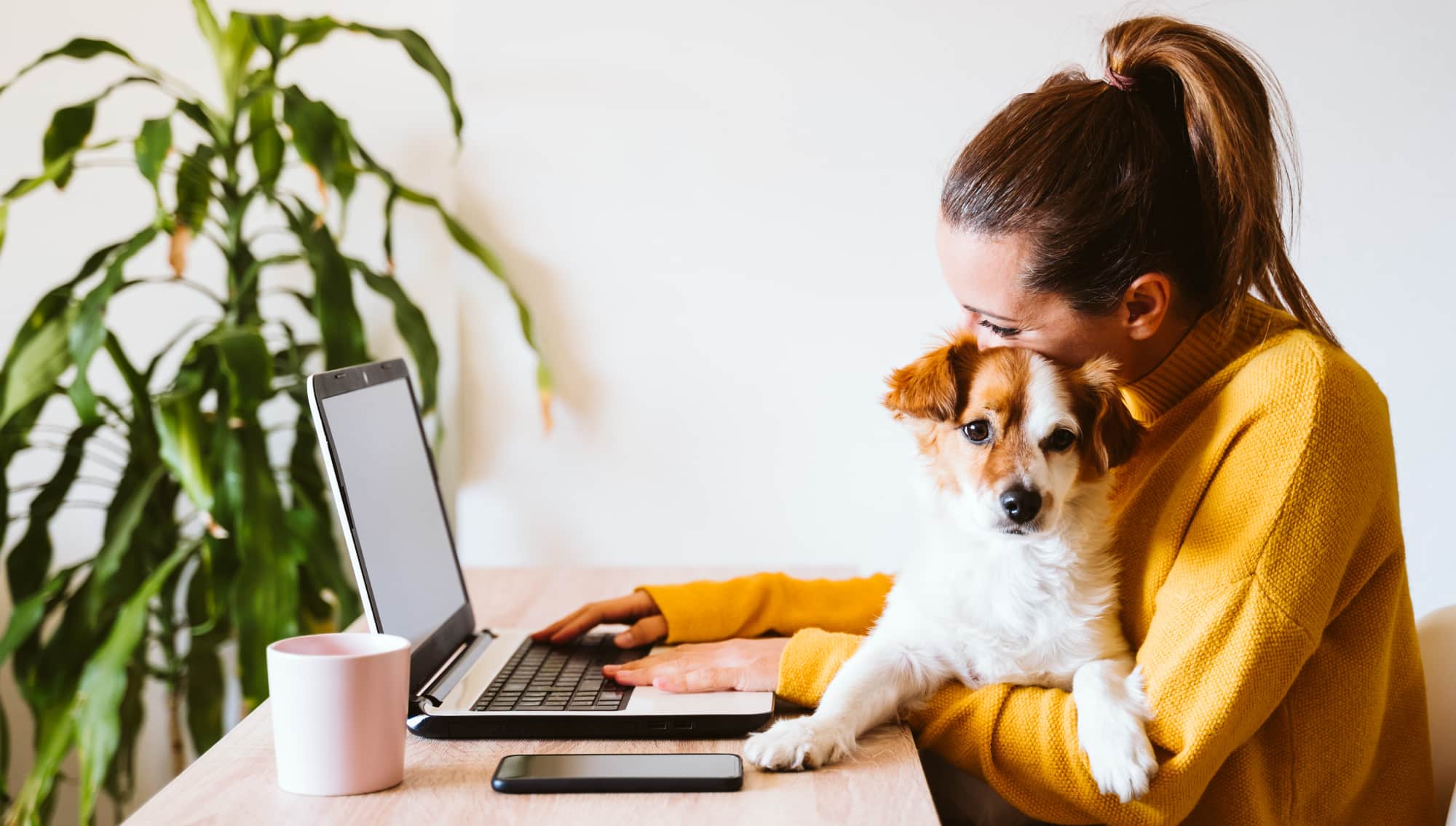 Evden Çalışma İlanları 2.8 Kat Arttı!