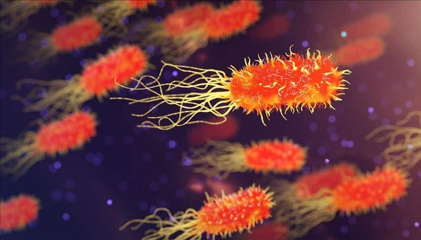 Yine Çin’de Yeni Bir Salgın!