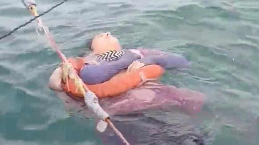 İntihar Ettiği Düşünülen Kadın 2 Yıl Sonra Canlı Olarak Bulundu