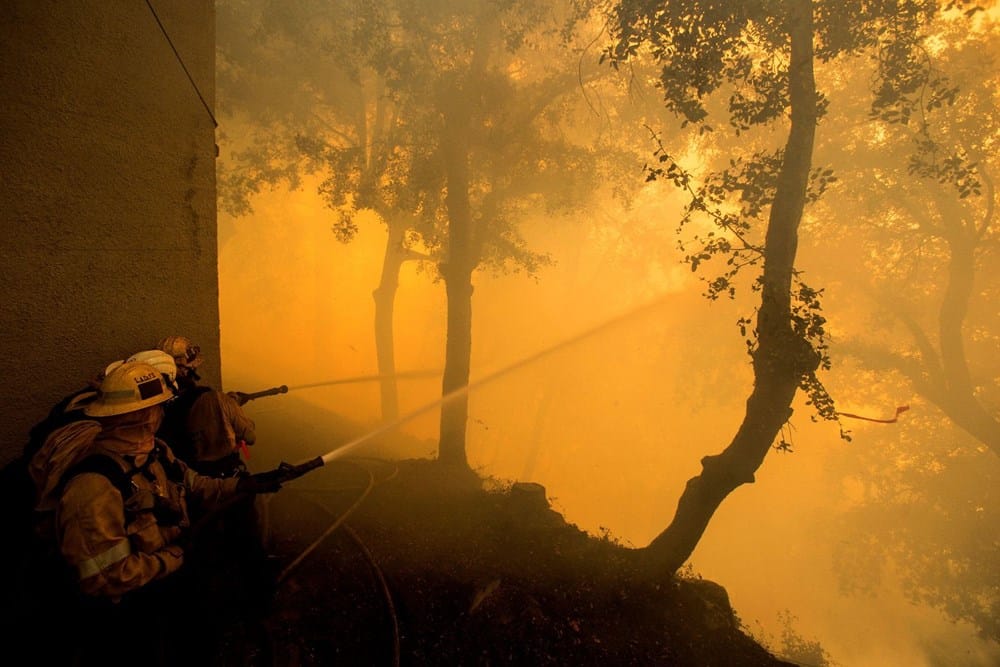 California’da 2020 Yılında Rekor Yangın Seviyesine Ulaşıldı