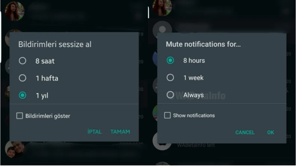 WhatsApp'ta Yeni Özellik! Sohbetler Tamamen Sessize Alınabilecek