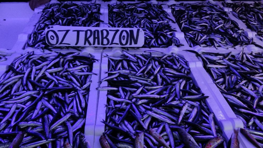 Karadeniz’deki Hamsi Bolluğu Fiyatları Düşürdü