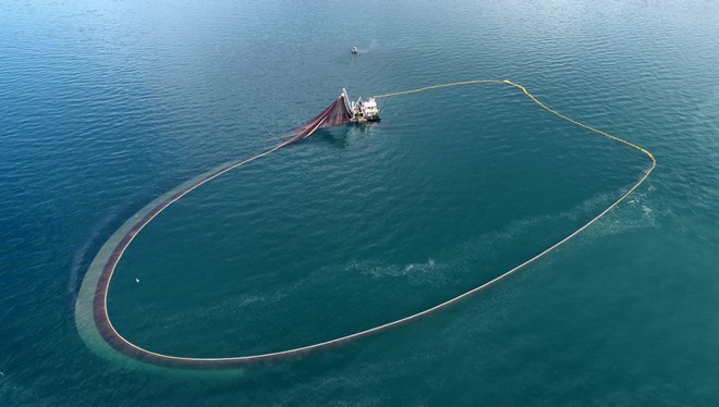 Balıklar Karadeniz’i Terk Ediyor!