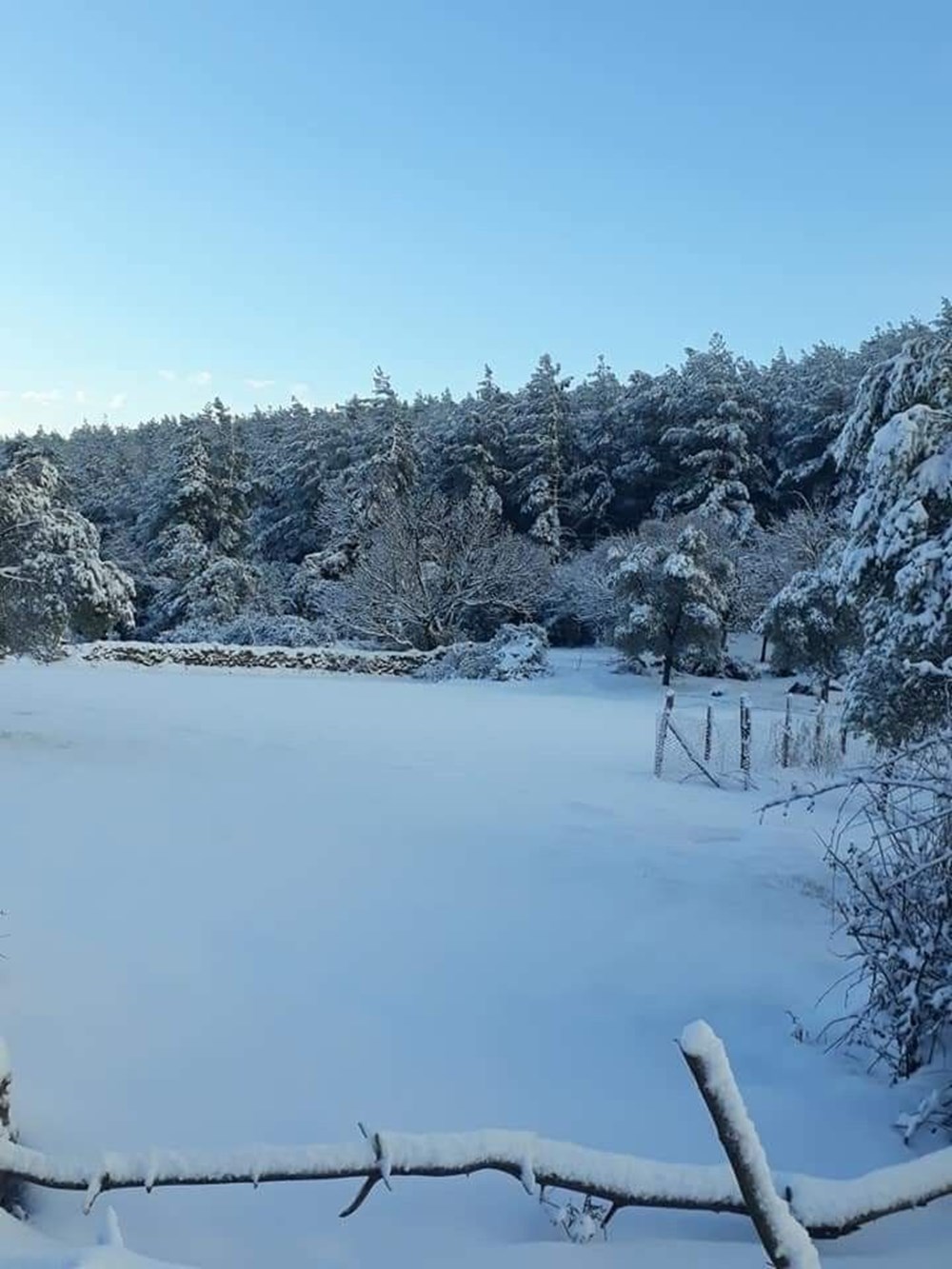 Bodrum’a 40 Yıl Sonra Kar Yağdı!