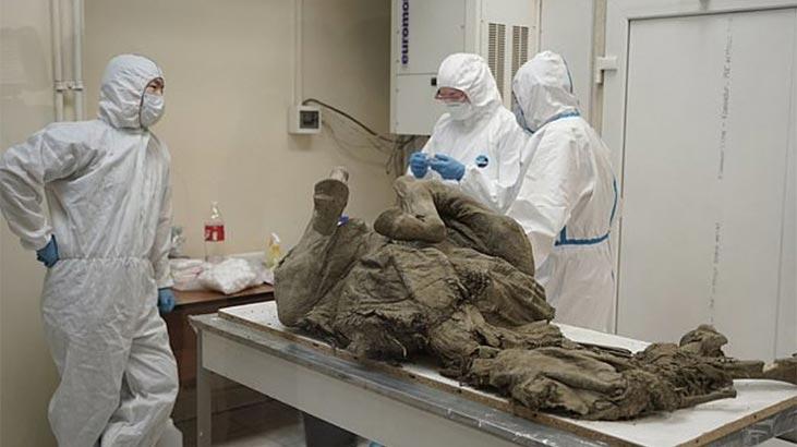 Koronavirüs Araştırmalarında 50 Bin Yıl Öncesine Gidildi