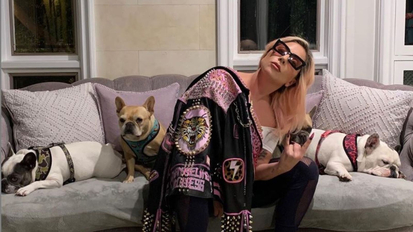 Lady Gaga’nın Köpekleri Çalındı, Bulana Büyük Ödül!