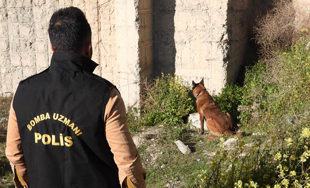 Şanlıurfa’da Bombalı Eylem Hazırlığı Yapan Terörist Yakalandı