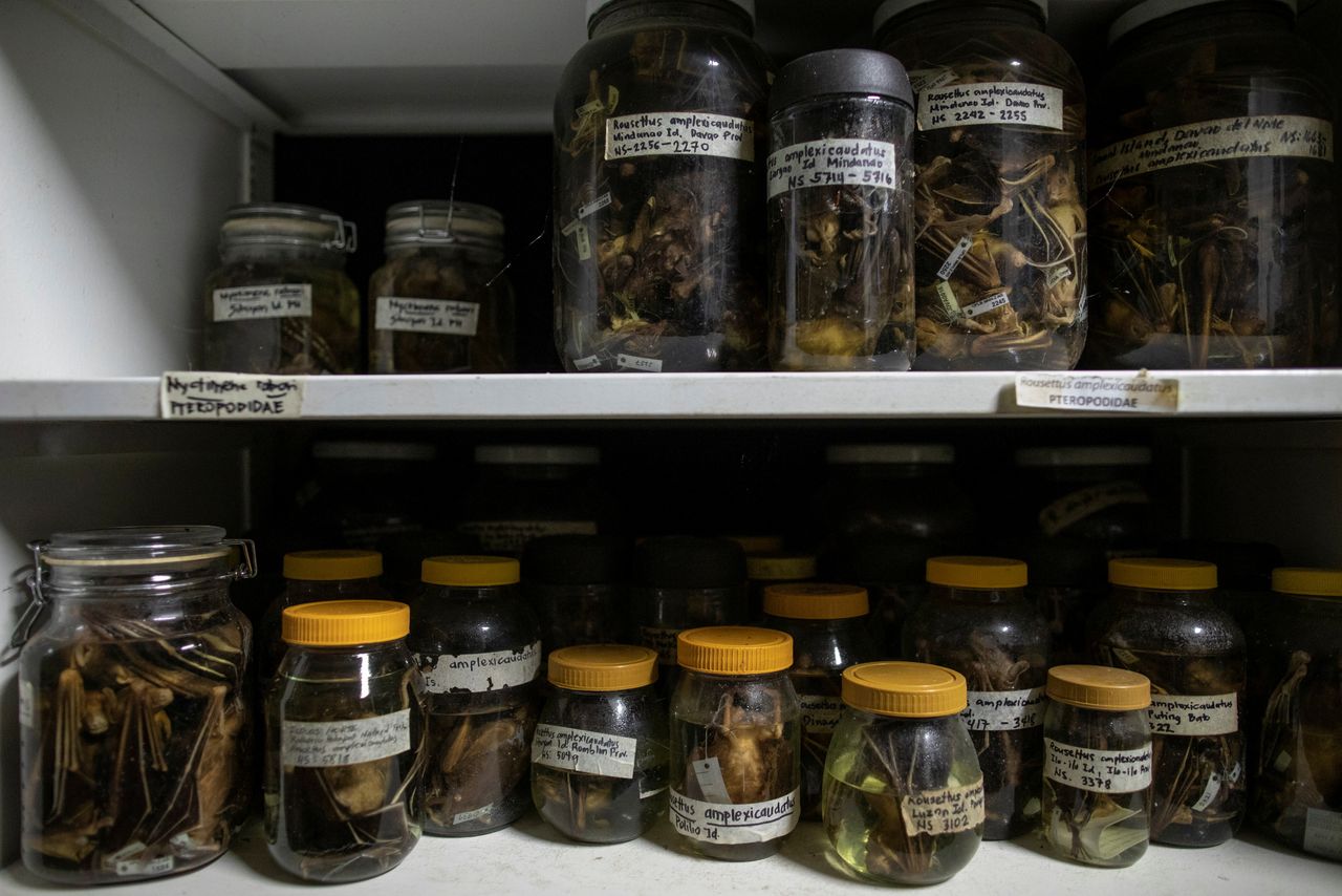 Virüs Avcıları Potansiyel Salgınları Önlemek İçin Çalışıyor!