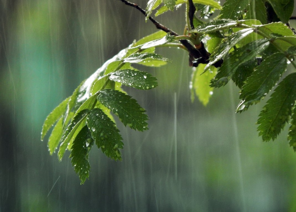 Meteoroloji'den Şiddetli Yağış Uyarısı!