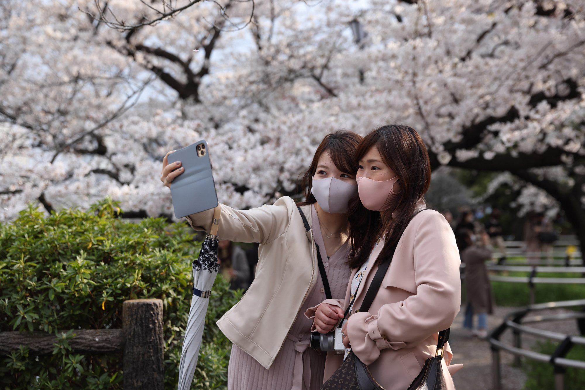 Çarpıcı Covid-19 Araştırması: Virüsle Oluşan Antikor Yetersiz Kalabilir