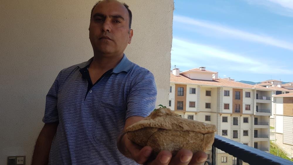 Doğa Gezisinde 45 Milyon Yıllık Fosil Buldu!