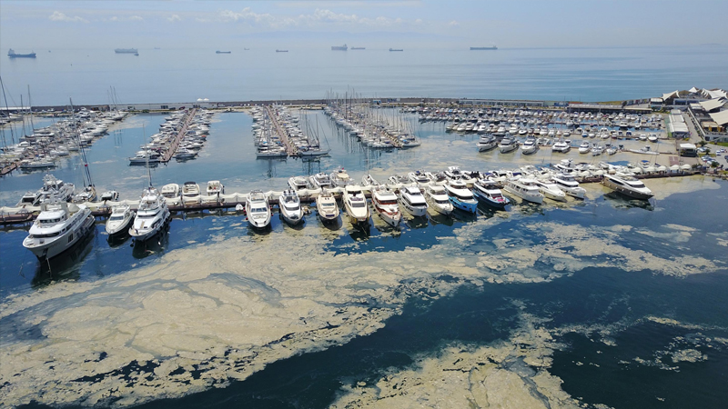 Müsilaj İnsan Sağlığına Zararlı Mı?