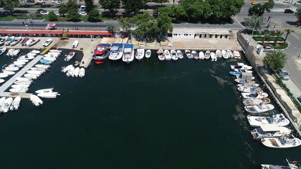 Tekirdağ Kıyıları Müsilajdan Arındı