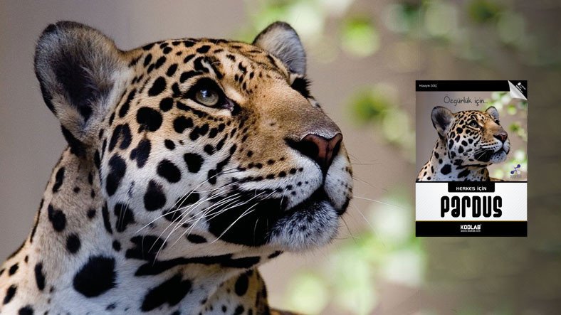 Yerli İşletim Sistemi Pardus’un Tüm Detayları Bu Kitapta!