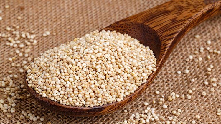 Hayvansal Protein Yerine Tüketilebilecek Bitkisel Protein Kaynakları