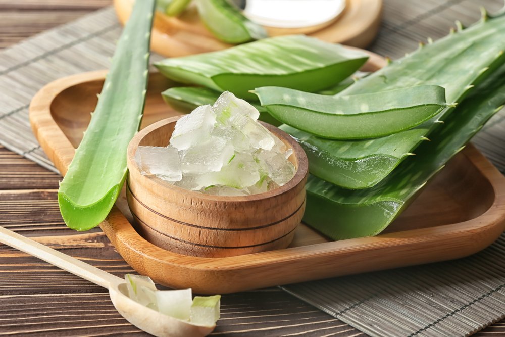 Aloe Vera Nedir? Faydaları Nelerdir?