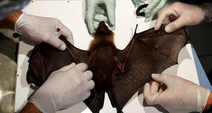 Birleşik Krallık’ta Yeni Bir Koronavirüs Tespit Edildi!