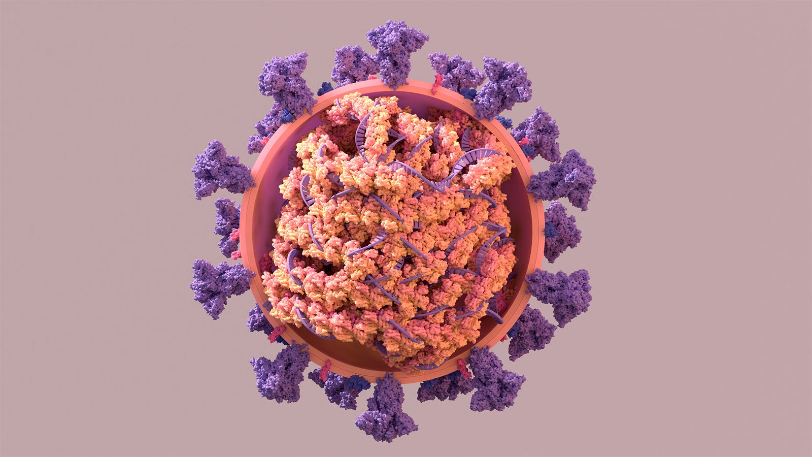 Lambda Mutasyonu Nedir, Belirtileri Nelerdir?