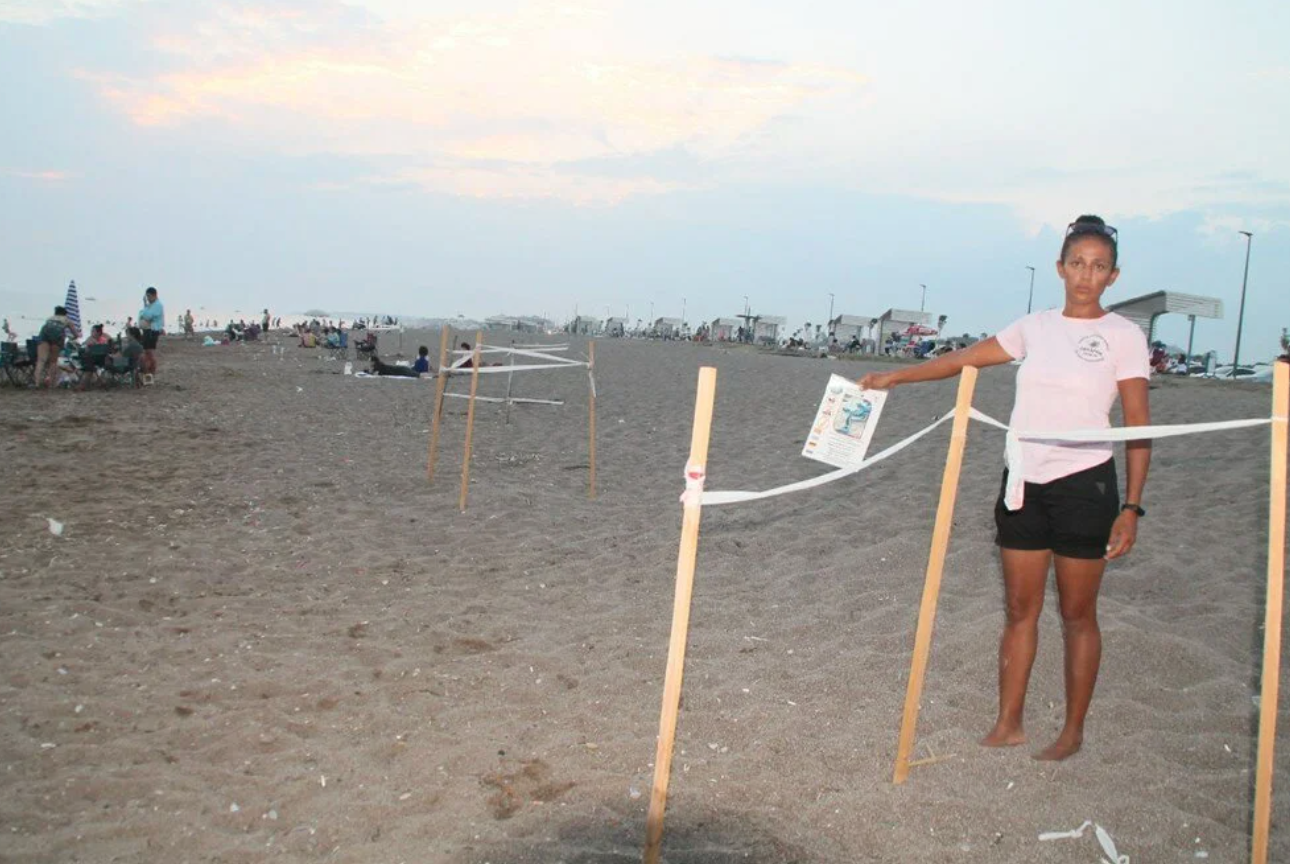 Nesli Tükenmekte Olan Carettaların Yuvalarının Üzerinde Güneşlendiler!