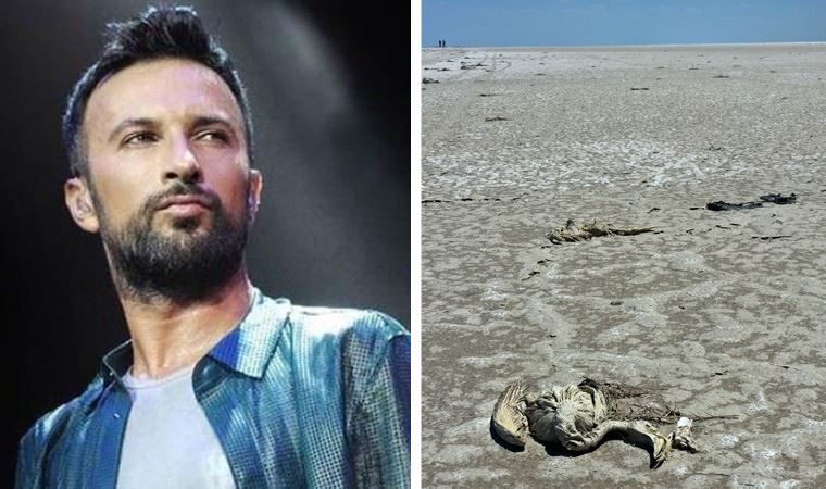 Megastar Tarkan Flamingo Ölümlerini Eleştirdi: “Kader Değil Katliam!”