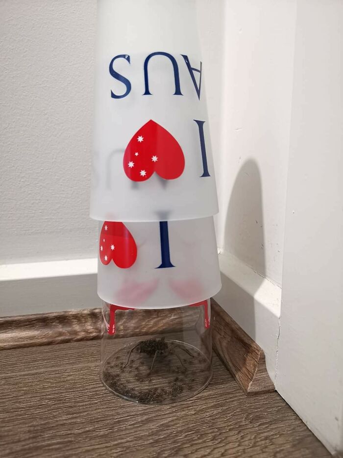 Avustralya’dan Birbirinden İlginç Fotoğraflar