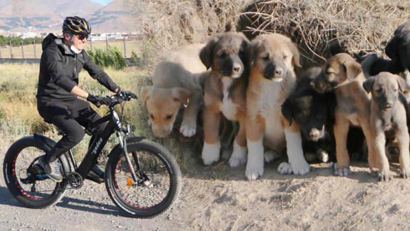 Erzurum Valisi Sokak Köpeklerine Sahip Çıktı