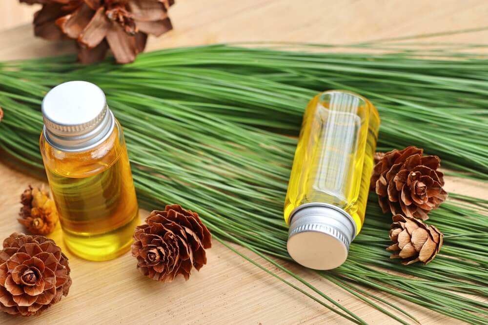 Saç Bakımının Vazgeçilmezi Çam Terebentin Yağının Faydaları