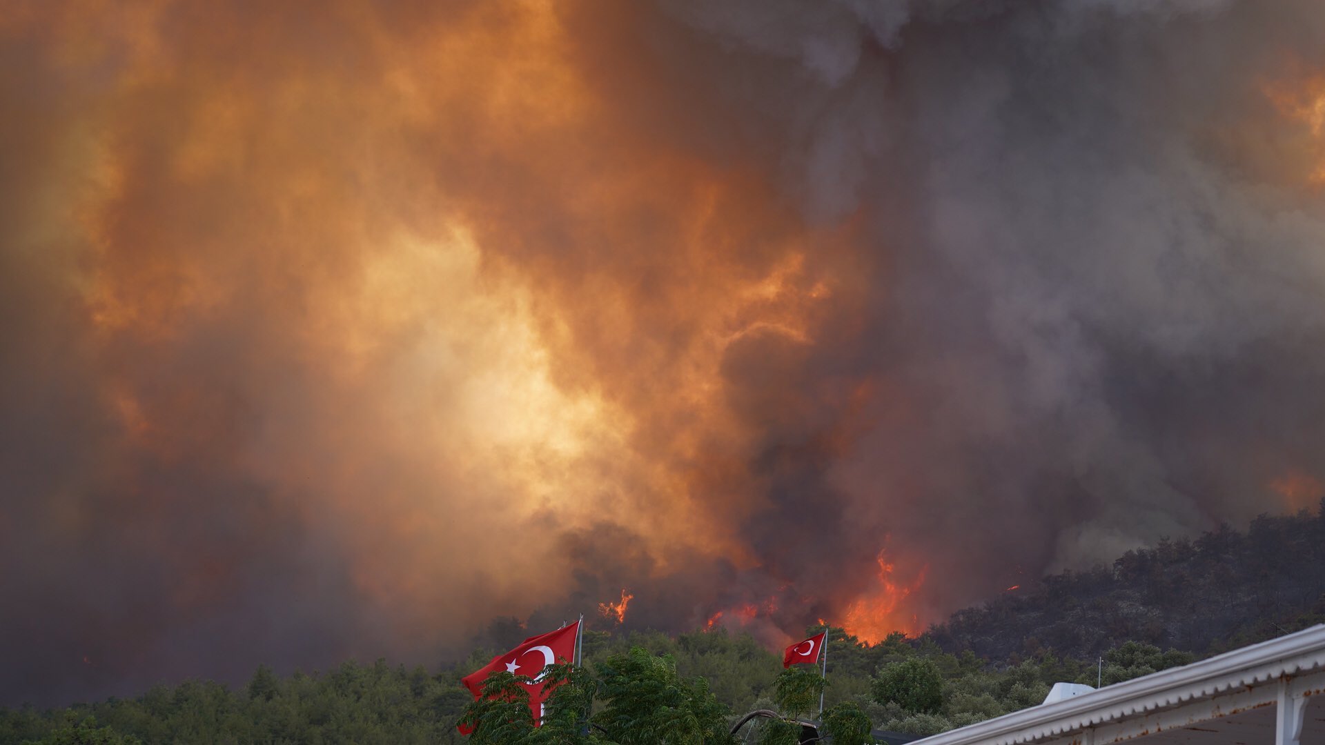 Ünlü Oyuncu Yangın Söndürme Çalışmalarına Katıldı