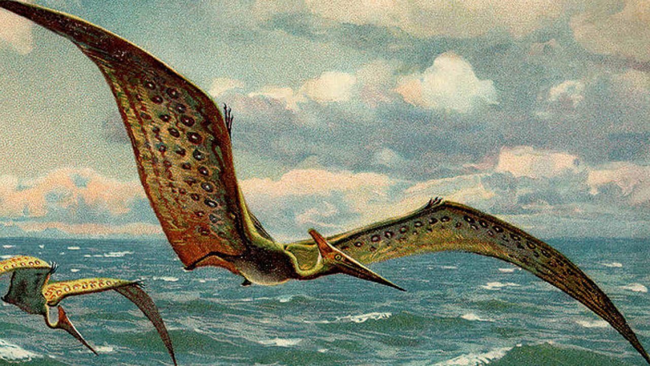 105 Milyon Yıllık Teruzor Fosili Bulundu!