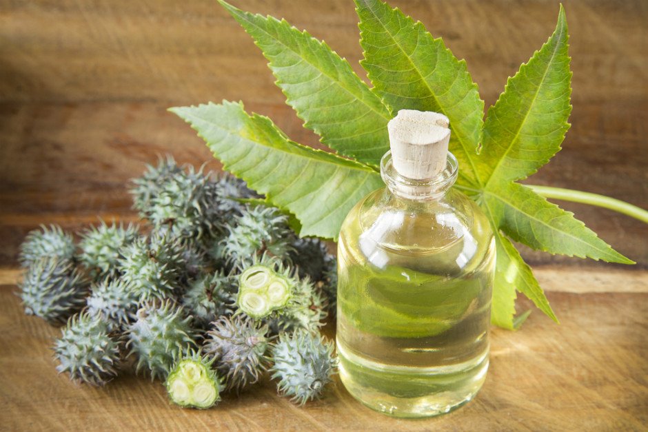 Hint Yağı Ne İşe Yarar? Hint Yağının Kullanım Alanları