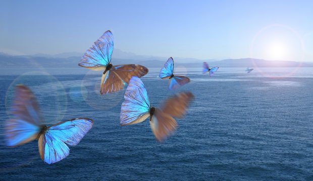 Daha Fazla Mutlu Olmak İçin Minnettar Hissetmenin Yolları