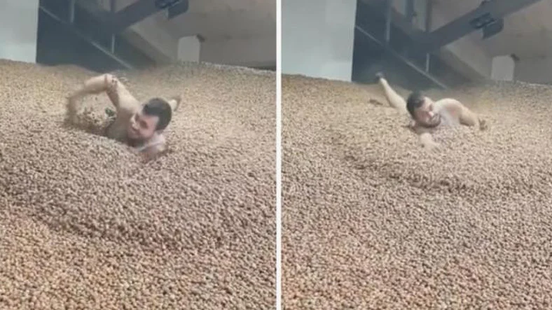 Fındık İçinde Yüzerken TikTok Videosu Çeken Şahıs Hakkında Soruşturma