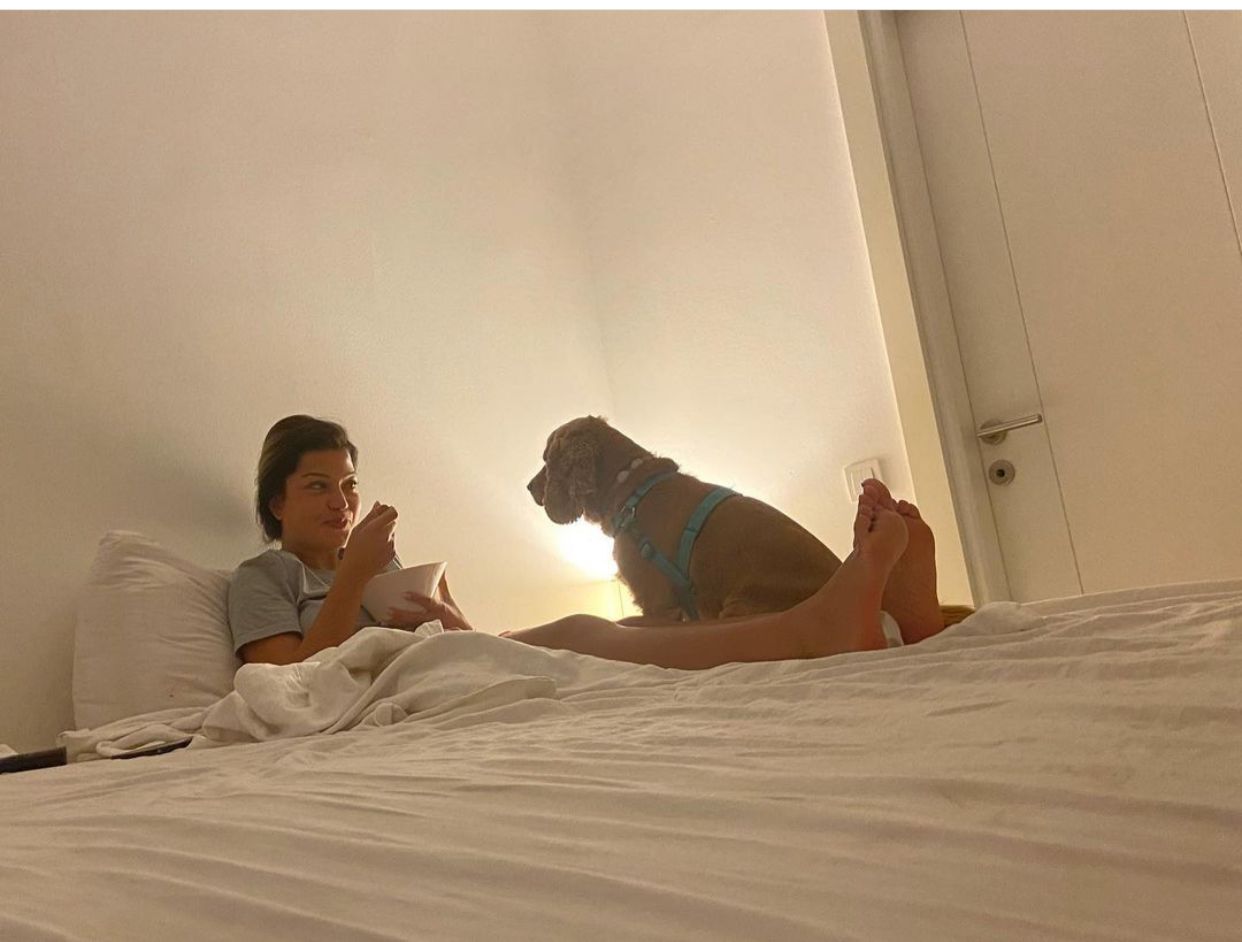 Tasmasız Pitbull Saldırdığı Köpeği Öldürdü!