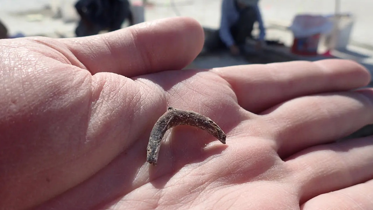 İnsanların 12 Bin 300 Yıl Önce Tütün Kullandığı Keşfedildi