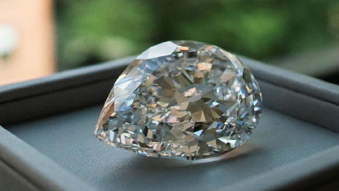 Dünyanın En Büyük Elması Görücüye Çıkıyor