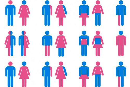 İlk Cinsiyetten Bağımsız Sürücü Ehliyeti Yayınlandı