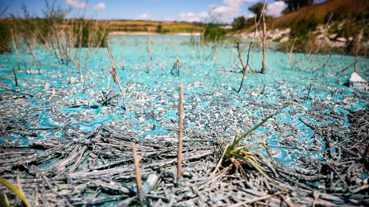 İstanbul'da Sazlıbosna Barajı'nın Görüntüsü Endişe Yarattı