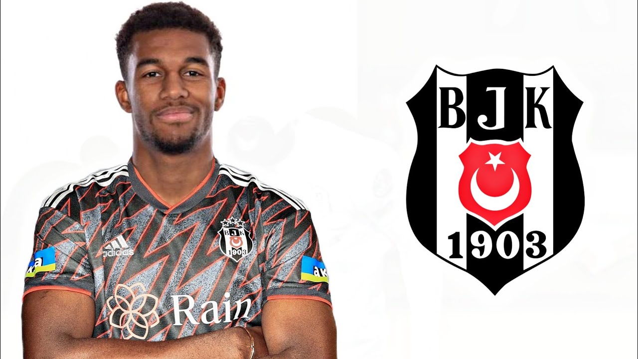 Beşiktaş’a İsveçli Stoper