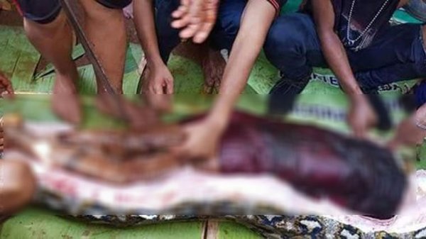 Kayıp Kadın 7 Metrelik Pitonun İçinden Çıktı