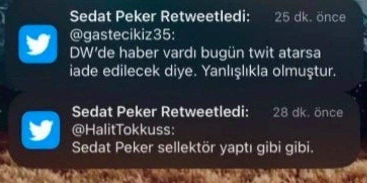 Sedat Peker Aylar Sonra Paylaşımda Bulundu